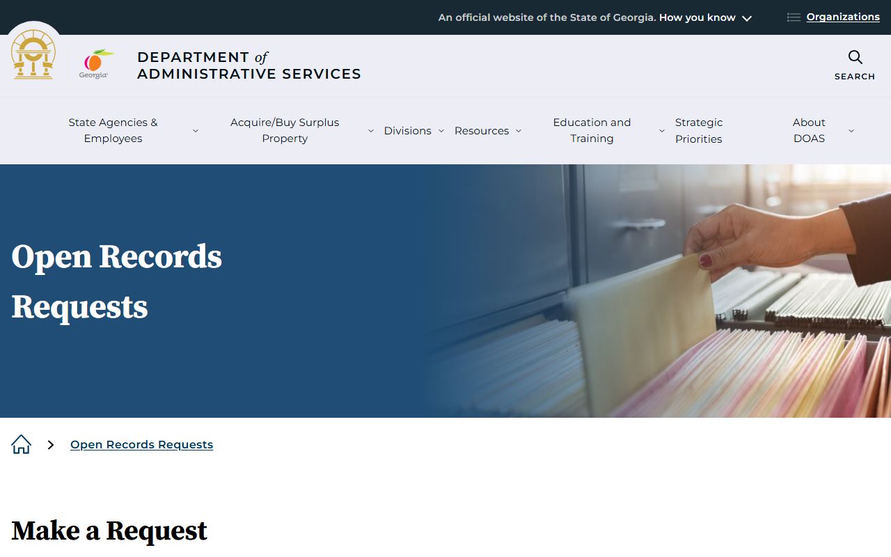 Georgia DOAS records management portal